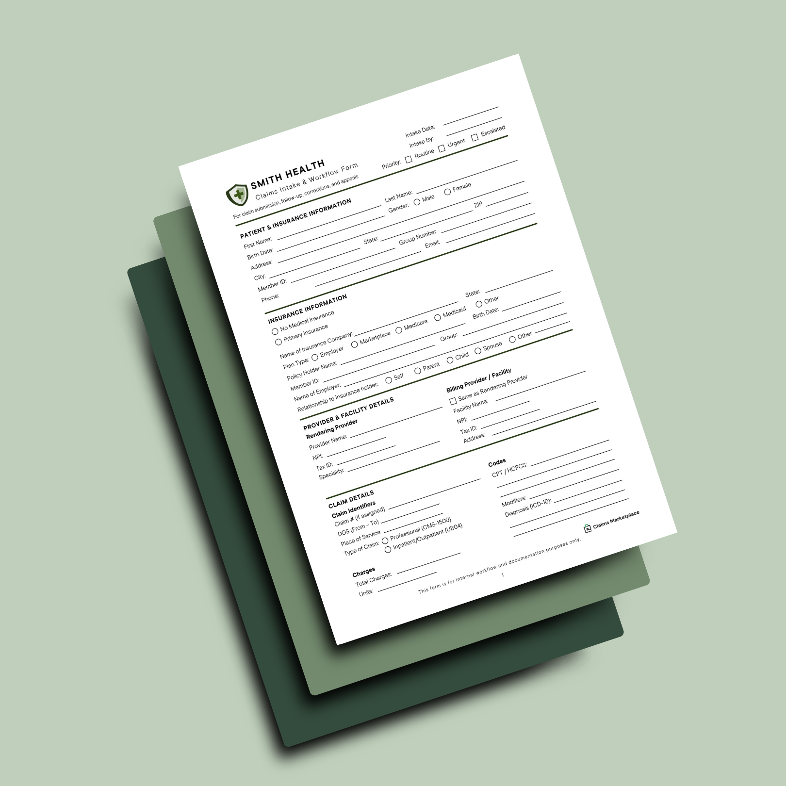 Claims Intake & Workflow Form Canva Template